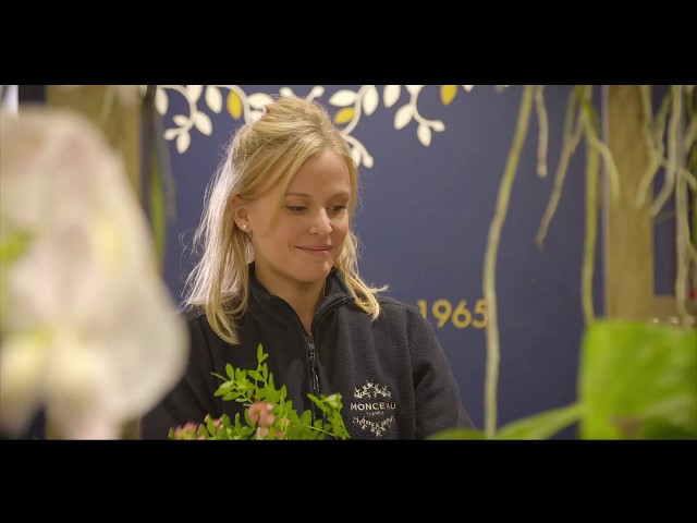 Coup de projecteur sur la franchise Monceau Fleurs en vidéo !