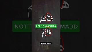 Download lagu How are these two NOT the same? #quran #learnquran #tajweed #learntajweed #arabic101 mp3 Download lagu How are these two NOT the same? #quran #learnquran #tajweed #learntajweed #arabic101 mp3