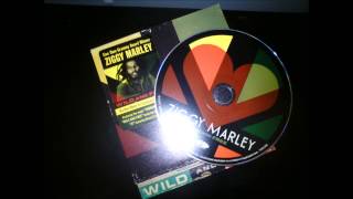 Ziggy Marley - personal revolution