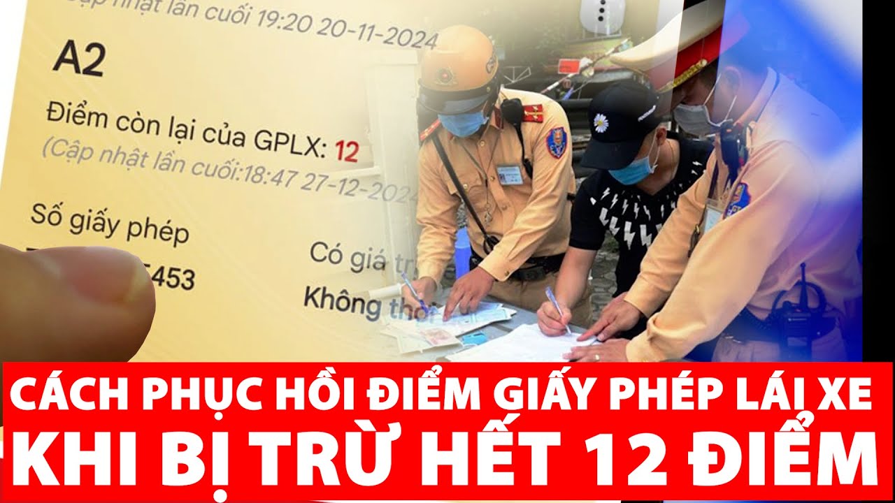 Cách phục hồi điểm giấy phép lái xe khi bị trừ hết 12 điểm | PLVN