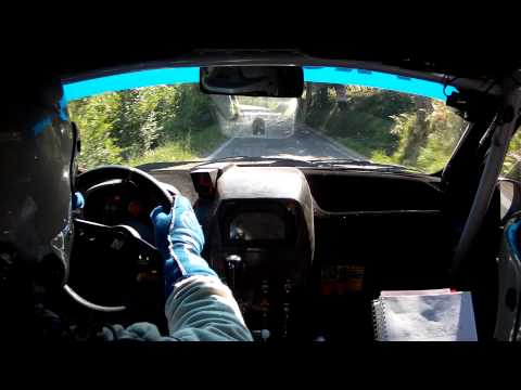 Rally della Romagna 2014 * Marchetti-Spadoni * Fiat Punto S1600 * PS4