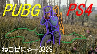 【PUBG PS4 】おじおじの佐賀弁実況　のらえもんスクワッド