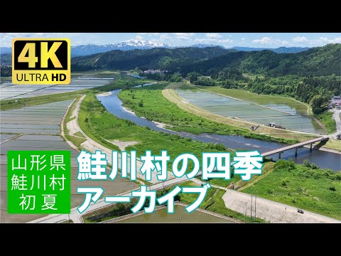 鮭川村の四季アーカイブ2023初夏 #地域おこし協力隊 #鮭川村