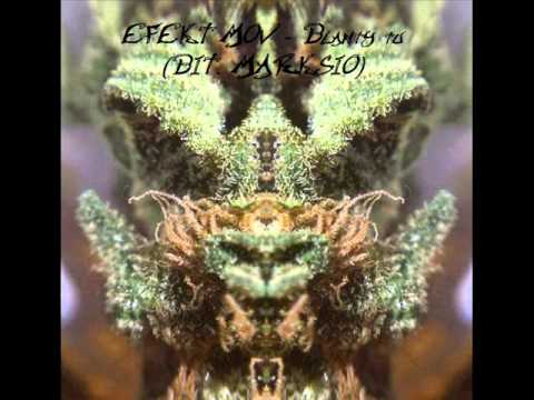 EFEKT MOV - Blanty Tu (BIT. Marksio)