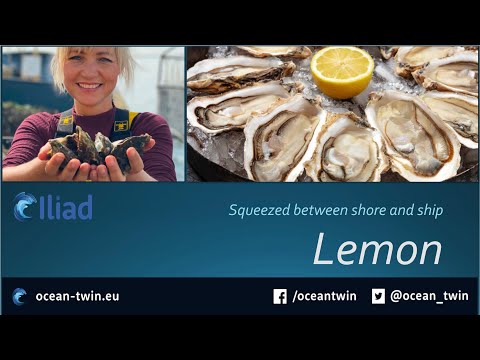 Lemon by RAMANI