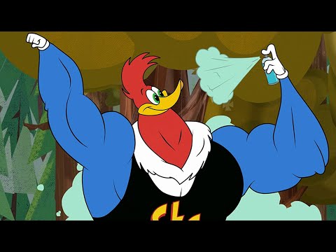Capa de Pica-Pau | O Lutador | Desenhos Animados em Português