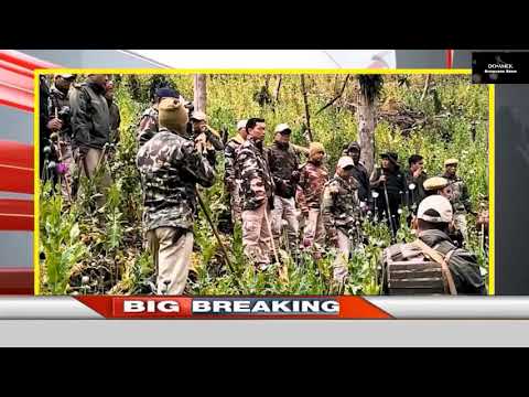 Do•amek News || 2 February 2025