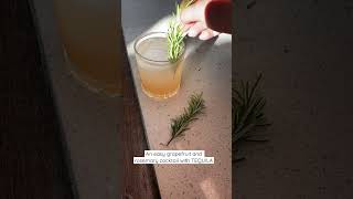 Download lagu Grapefruit and Rosemary Cocktail with Tequila and Pineapple juice mp3