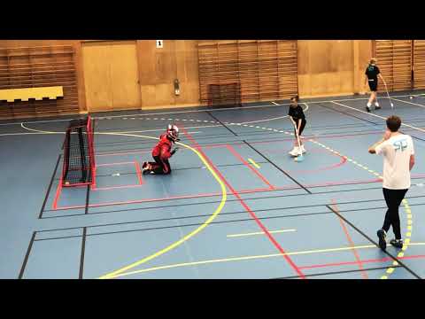 Strafftävling Selected Player LTC Kärra 2019-10-29