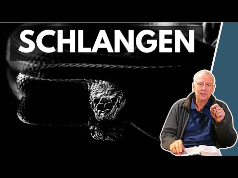 Tiere der Bibel - Die Schlange || Stefan Drüeke