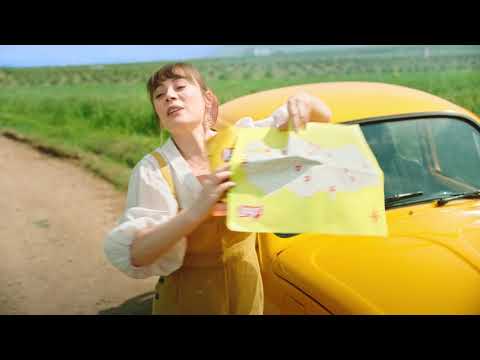 Video Galeri