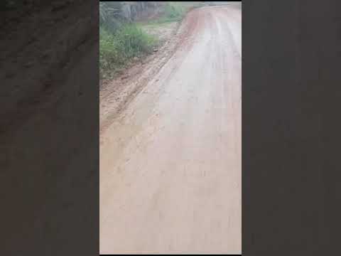 ESTRADA DA CAGANEIRA MENOS CONHECIDA COMO ESTRADA DA PALESTINA JUQUITIBA
