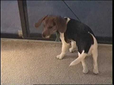 Clyde Remembered with Phlash Phelps