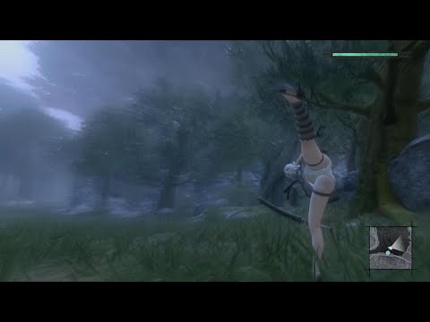 NieR Replicant - Daredevil (look at Kaine's panties 10 times).