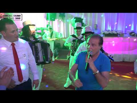 Orkestar Panorama - Dragan Pantic Smederevac MIX 2, Svadba Teodora i Srecko. Koceljeva 2018