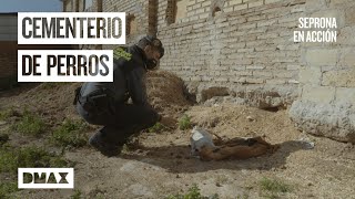 Thumbnail del capítulo