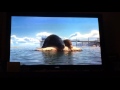 Finding Dory Sea Lion Funny Moments Funny Moments Compilation