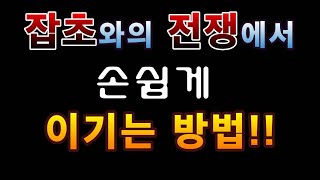 [텃밭농부.696]  잡초와의 전쟁에서 손쉽게 이기는 방법! #잡초제거방법