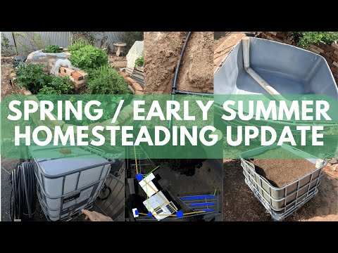 DRIP IRRIGATION INSTALL | IBC WICKING BED BUILD |  ESPALIER UPGRADE | SPRING - SUMMER 2025