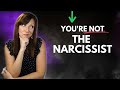 Reactive Abuse Explained: Why You're NOT The Narcissist