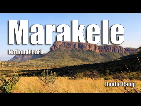 Marakele National Park | Bontle Camp weekend trip