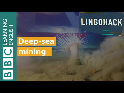 深海採掘。リンゴハック (Deep-sea mining: Lingohack)
