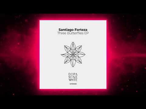 PREMIERE: Santiago Forteza - Moon Light (Original Mix) [Dopamine White]