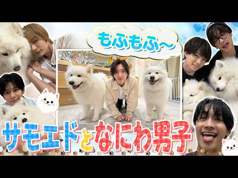 なにわ男子 みっちー」のYahoo!リアルタイム検索 - X（旧Twitter）を