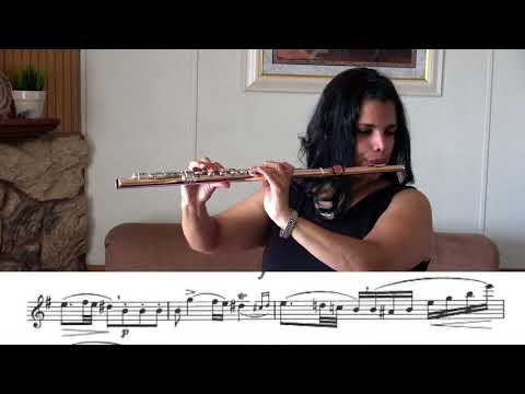 Texas ATSSB All-State Flute Selection, Year C-E minor