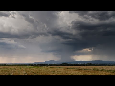 Wetter heute: Die aktuelle Vorhersage (17.08.2022)