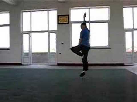 Che Shi Xing Yi Quan