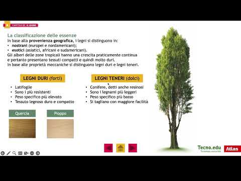 [IL LEGNO] Parte 1 - Tecnologia - Classi prime - Prof Di Girolamo Gianni