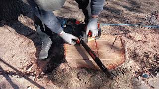 This $79 18" Chainsaw Worth It? Real Test during 12x16 Shed Build