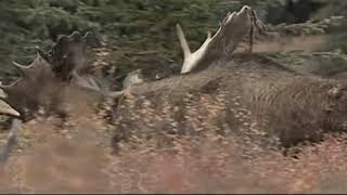Johnny Horton - North to Alaska (unreleased version)