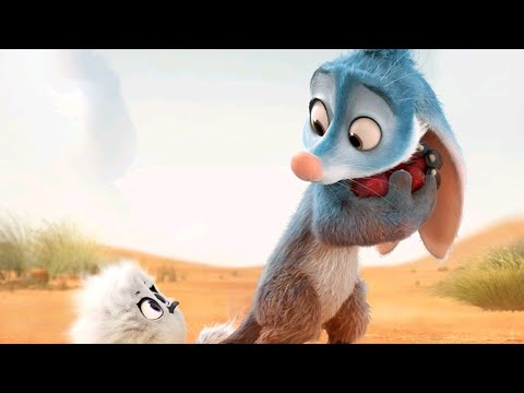 Bilby 2018 Trailer