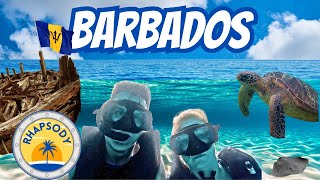SHIPWRECKS And SEA TURTLES In BARBADOS - Day 6 Cruise Vlog - Rhapsody of the Seas - Royal Caribbean