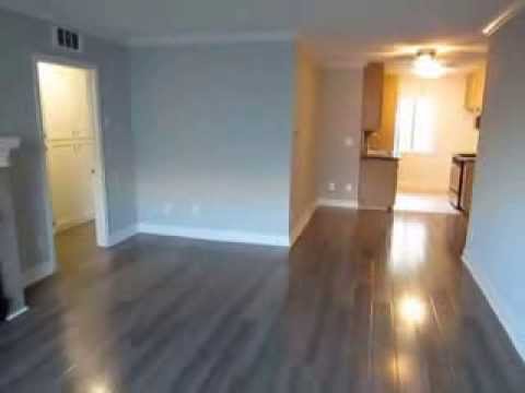PL3862 - Modern 1 Bed + 1 Bath Apartment For Rent (Los Angeles, CA).