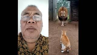 Download lagu Bagaimana ini kok bisa hanya digertak sudah ketakutan#shorts #trending mp3