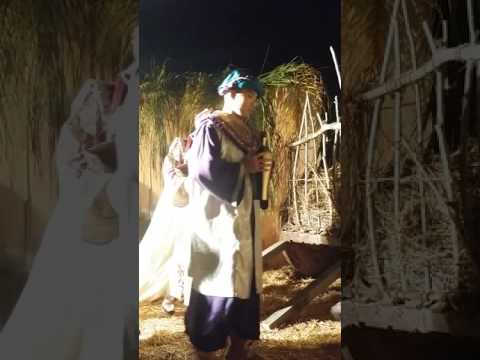 Burbank Live Nativity 2015