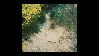 Desire Lines - Luca Lana