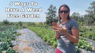 5 Ways To Have A Weed Free Garden