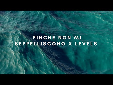 Finche non mi seppelliscono x Levels | Blanco, Avicii  TIKTOK VERSION COMPLETA by forever sounds