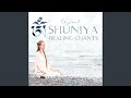 Adi Shakti Bhakti Mantra