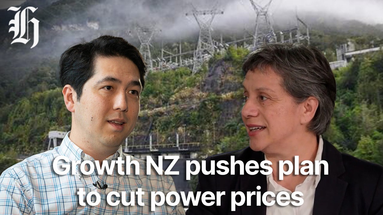 Growth NZ pushes plan to cut power prices | Herald NOW Business