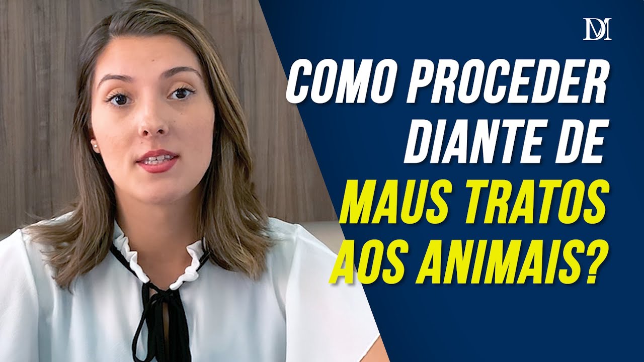 Maus Tratos Aos Animais Lei | Duarte Moral Advogados