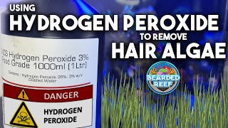 Using Hydrogen Peroxide to Remove Hair Algae From Coral and Rock, Coral Dip to kill Algae