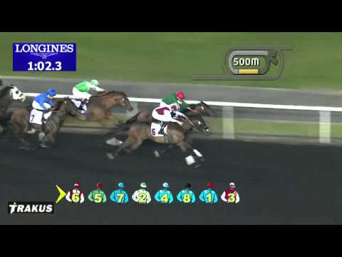 27.02.2014 Meydan (Dubai-UAE) 1.Race SMKA Trophy - Handicap 1.400 m