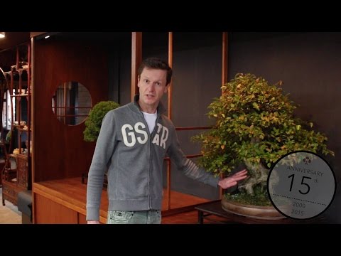 Teunis Jan Klein: Techniques to thicken a Bonsai trunk