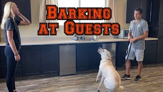 Does your dog bark at people coming to the house?
