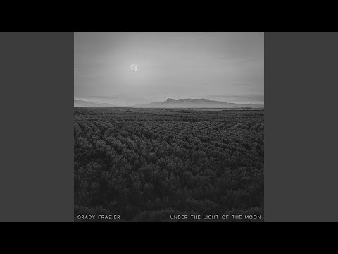 Under the Light of the Moon